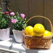 ヒメ日記 2025/06/22 11:30 投稿 栞奈(かんな) 高知デリヘル倶楽部 人妻熟女専門店