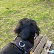 ヒメ日記 2025/07/14 12:21 投稿 栞奈(かんな) 高知デリヘル倶楽部 人妻熟女専門店