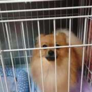 ヒメ日記 2025/08/31 11:49 投稿 栞奈(かんな) 高知デリヘル倶楽部 人妻熟女専門店