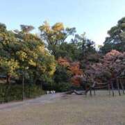 ヒメ日記 2025/12/03 12:41 投稿 栞奈(かんな) 高知デリヘル倶楽部 人妻熟女専門店