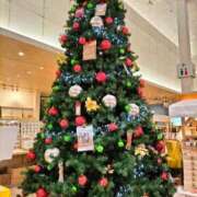 ヒメ日記 2025/12/18 13:40 投稿 栞奈(かんな) 高知デリヘル倶楽部 人妻熟女専門店