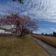 ヒメ日記 2026/02/27 10:01 投稿 栞奈(かんな) 高知デリヘル倶楽部 人妻熟女専門店