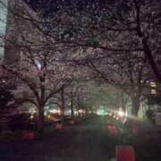 ヒメ日記 2026/04/13 14:34 投稿 栞奈(かんな) 高知デリヘル倶楽部 人妻熟女専門店