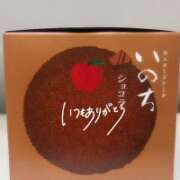 いちか いのち パンドラ(上野)