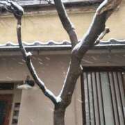 ヒメ日記 2026/02/08 21:27 投稿 いちか パンドラ(上野)