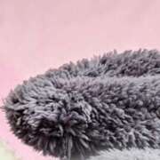 ヒメ日記 2026/02/09 20:22 投稿 いちか パンドラ(上野)