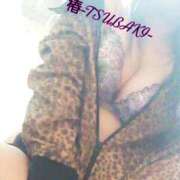 ヒメ日記 2025/11/06 00:16 投稿 椿(つばき) 高知デリヘル倶楽部 人妻熟女専門店