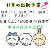 ヒメ日記 2023/11/11 12:03 投稿 なつ 高知デリヘル倶楽部 人妻熟女専門店