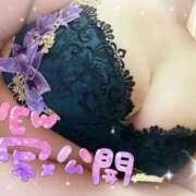 ヒメ日記 2024/12/14 16:55 投稿 なつ 高知デリヘル倶楽部 人妻熟女専門店