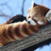 ヒメ日記 2025/01/15 08:22 投稿 なつ 高知デリヘル倶楽部 人妻熟女専門店