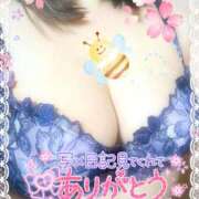 ヒメ日記 2025/03/31 11:38 投稿 なつ 高知デリヘル倶楽部 人妻熟女専門店