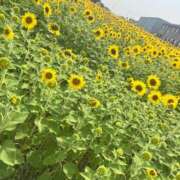 ヒメ日記 2025/07/07 08:27 投稿 なつ 高知デリヘル倶楽部 人妻熟女専門店