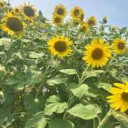 ヒメ日記 2025/07/15 08:31 投稿 なつ 高知デリヘル倶楽部 人妻熟女専門店