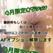 ヒメ日記 2026/04/02 18:14 投稿 なつ 高知デリヘル倶楽部 人妻熟女専門店