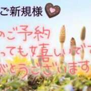 ヒメ日記 2026/04/04 15:41 投稿 なつ 高知デリヘル倶楽部 人妻熟女専門店