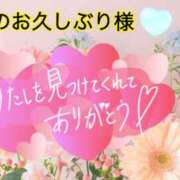 ヒメ日記 2026/04/04 16:03 投稿 なつ 高知デリヘル倶楽部 人妻熟女専門店