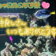 ヒメ日記 2026/05/15 16:53 投稿 なつ 高知デリヘル倶楽部 人妻熟女専門店