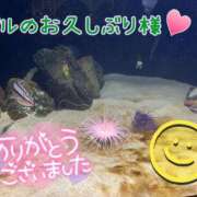 ヒメ日記 2026/05/15 22:25 投稿 なつ 高知デリヘル倶楽部 人妻熟女専門店