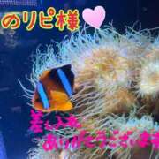 ヒメ日記 2026/05/15 22:46 投稿 なつ 高知デリヘル倶楽部 人妻熟女専門店