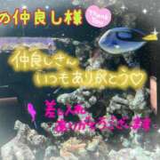 ヒメ日記 2026/07/02 01:28 投稿 なつ 高知デリヘル倶楽部 人妻熟女専門店