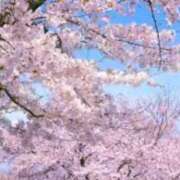 ヒメ日記 2026/04/03 19:23 投稿 ここな Welcome Cafe(ウェルカムカフェ) 八王子本店