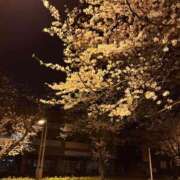 ヒメ日記 2025/04/05 18:19 投稿 あんな SUZUME