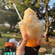 ヒメ日記 2025/10/24 13:12 投稿 あんな SUZUME