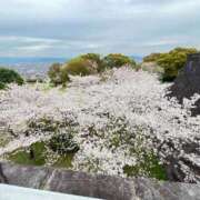 ヒメ日記 2026/04/10 15:02 投稿 あんな SUZUME