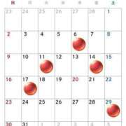 ヒメ日記 2025/03/04 18:22 投稿 麗奈(れいな) 高知デリヘル倶楽部 人妻熟女専門店