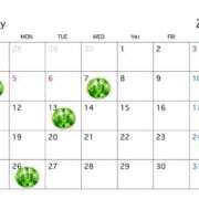 ヒメ日記 2025/04/26 07:21 投稿 麗奈(れいな) 高知デリヘル倶楽部 人妻熟女専門店