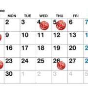 ヒメ日記 2025/05/30 21:21 投稿 麗奈(れいな) 高知デリヘル倶楽部 人妻熟女専門店