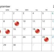 ヒメ日記 2025/09/03 20:38 投稿 麗奈(れいな) 高知デリヘル倶楽部 人妻熟女専門店