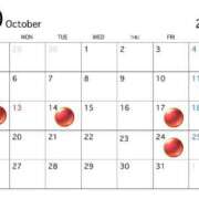 ヒメ日記 2025/09/29 20:35 投稿 麗奈(れいな) 高知デリヘル倶楽部 人妻熟女専門店