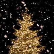 麗奈(れいな) １２月の予定です 高知デリヘル倶楽部 人妻熟女専門店