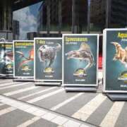 ヒメ日記 2025/09/30 11:00 投稿 ゆう おいしい奥様