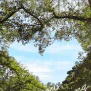 ヒメ日記 2025/10/16 10:22 投稿 美帆 おいしい奥様