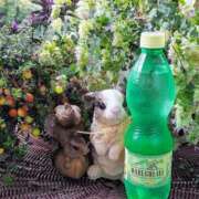 ヒメ日記 2025/10/23 14:32 投稿 美帆 おいしい奥様