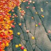 ヒメ日記 2025/11/25 11:46 投稿 美帆 おいしい奥様