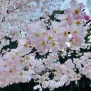 ヒメ日記 2025/04/04 13:31 投稿 みなみ おいしい奥様