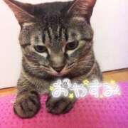 ヒメ日記 2025/01/10 01:16 投稿 くるみ 夢の国デリランド