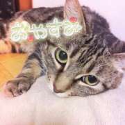 ヒメ日記 2025/01/11 02:46 投稿 くるみ 夢の国デリランド