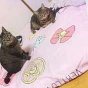 ヒメ日記 2025/02/05 08:45 投稿 くるみ 夢の国デリランド