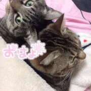 ヒメ日記 2025/02/19 08:23 投稿 くるみ 夢の国デリランド