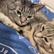 ヒメ日記 2025/02/23 00:00 投稿 くるみ 夢の国デリランド