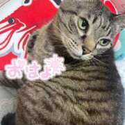 ヒメ日記 2025/02/28 07:55 投稿 くるみ 夢の国デリランド