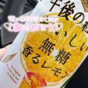 ヒメ日記 2025/04/12 12:37 投稿 くるみ 夢の国デリランド
