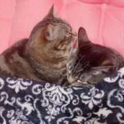 ヒメ日記 2025/04/16 03:24 投稿 くるみ 夢の国デリランド