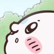 ヒメ日記 2025/05/13 02:07 投稿 くるみ 夢の国デリランド