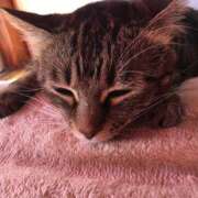 ヒメ日記 2025/05/18 16:19 投稿 くるみ 夢の国デリランド