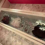 ヒメ日記 2025/07/14 09:26 投稿 くるみ 夢の国デリランド